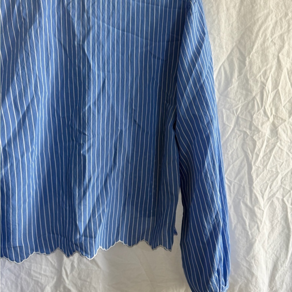 Zara Blue Striped Button Embroidered Lace
Cropped Boyfriend Blouse Size Large - Picture 10 of 11